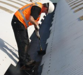 Paints & Coatings