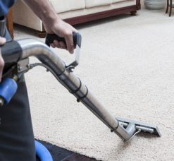 Carpet Cleaning Products