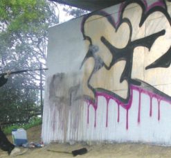 Graffiti & Paint Removers