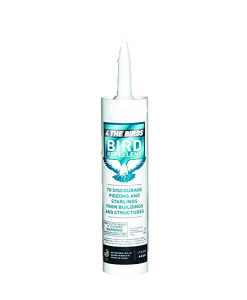 4 The Birds